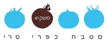 משק 41