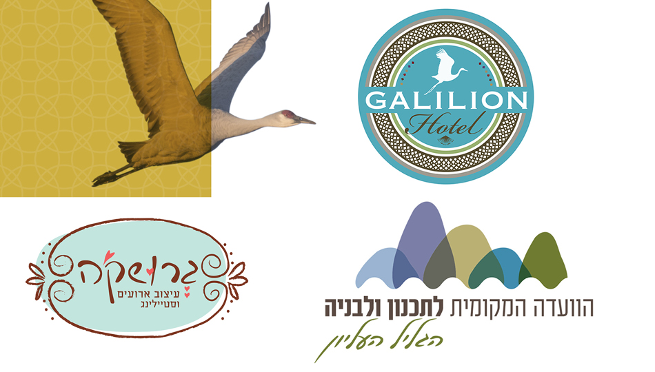 סטודיו רותק'ה - מעיצוב גרפי מקצועי