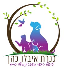 כנרת - טיפול רגשי בעזרת בעלי חיים לילדים ונוער