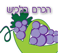הכרם בלכיש