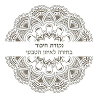 נקודת חיבור