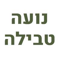נועה טבילה - לגעת במהות