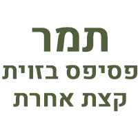 תמר - פסיפס בזוית קצת אחרת