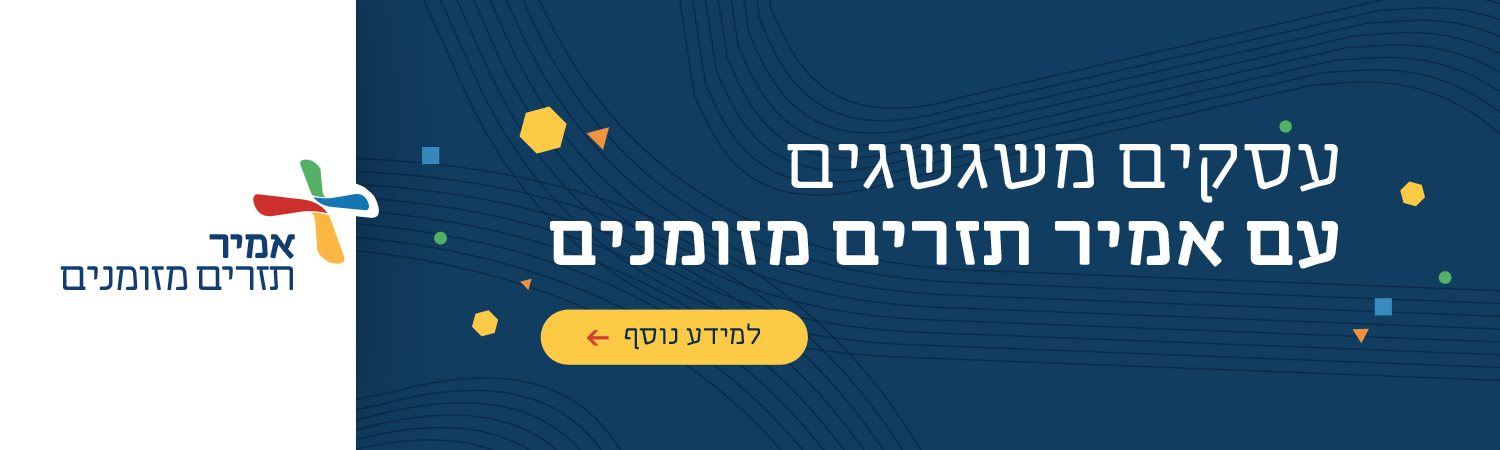 אמיר תזרים מזומנים