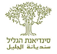 סינדיאנת הגליל