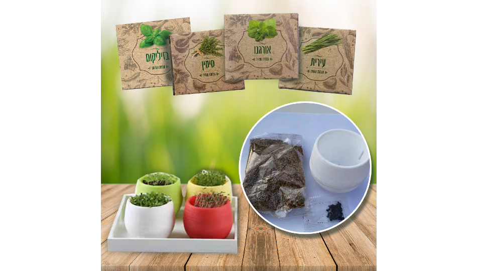 ערכת שתילת תבלינים ב-₪49
