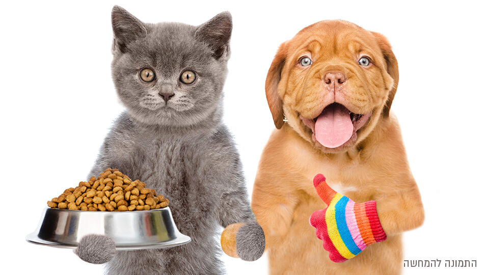 Pet Shop
