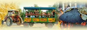 חוויה חקלאית