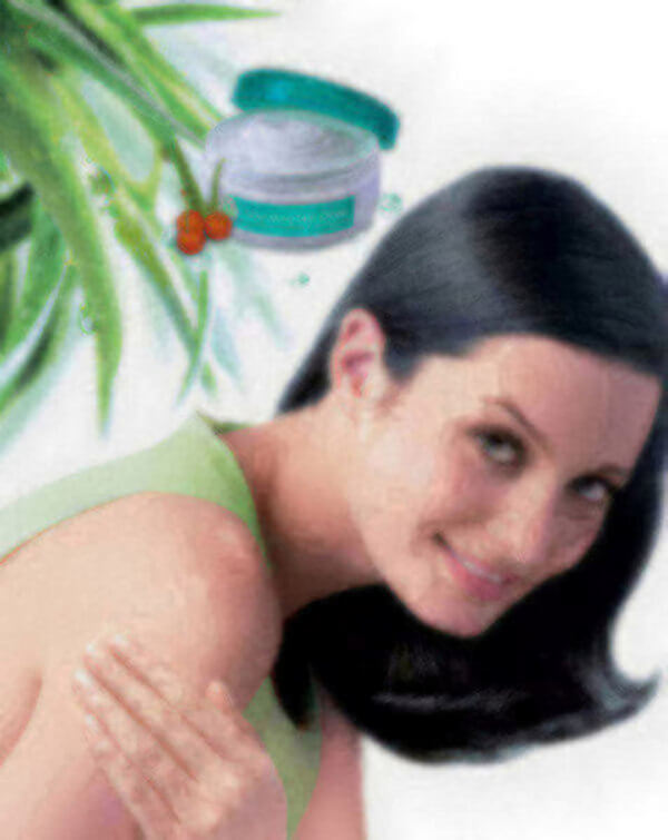 רשת Himalaya